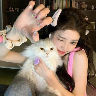 猛虎嗅蔷薇之龙凤大盗